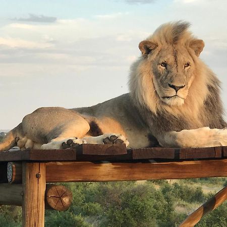 Weltevreden Game Lodge Bloemfontein Exteriér fotografie