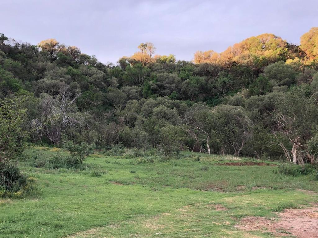 Weltevreden Game Lodge Bloemfontein Exteriér fotografie