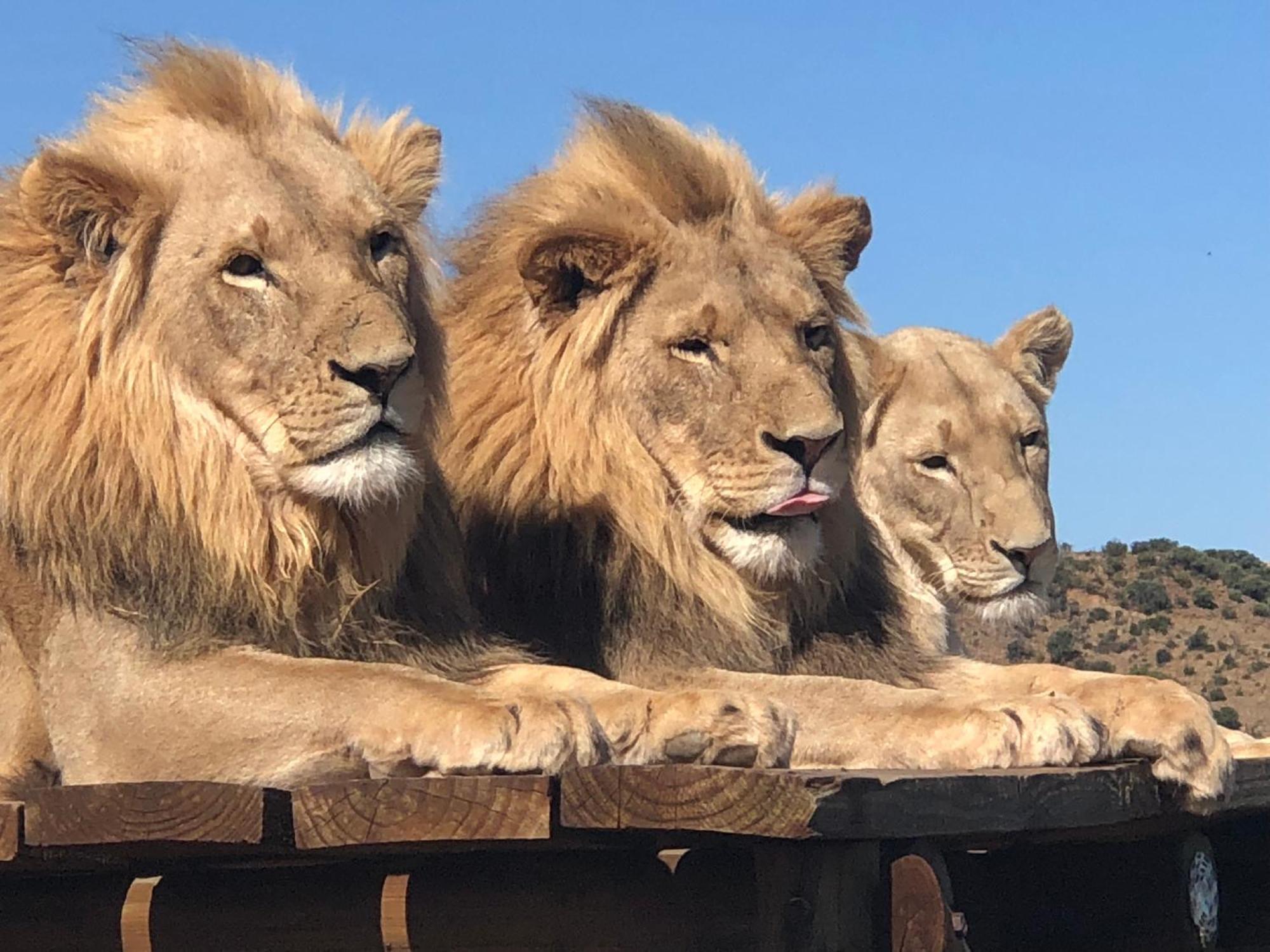 Weltevreden Game Lodge Bloemfontein Exteriér fotografie