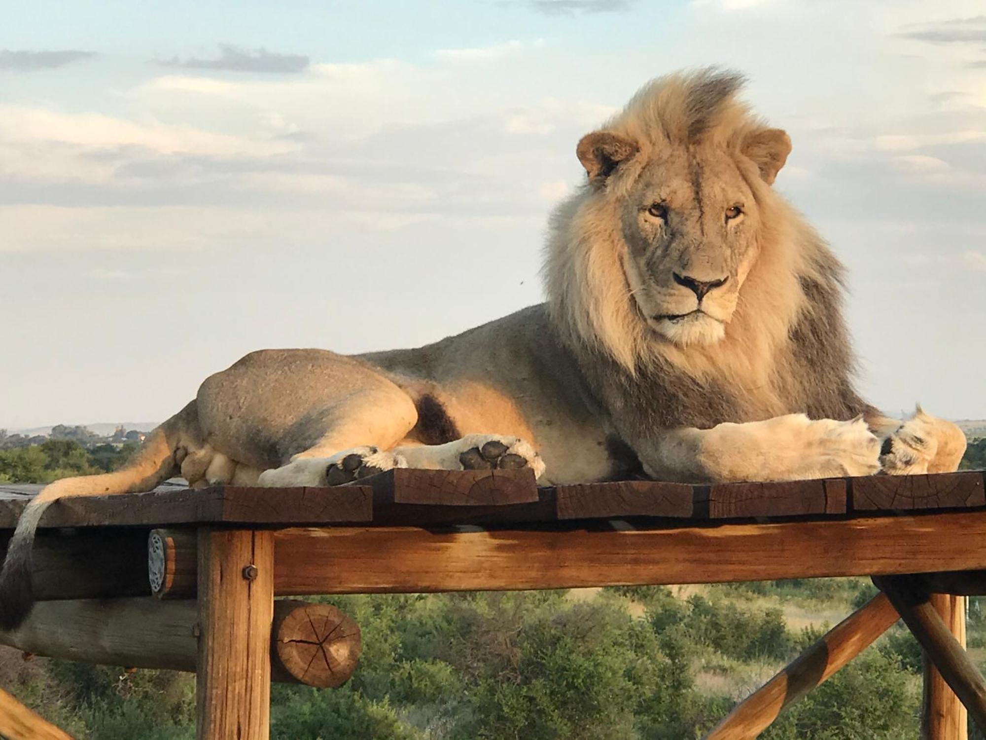 Weltevreden Game Lodge Bloemfontein Exteriér fotografie